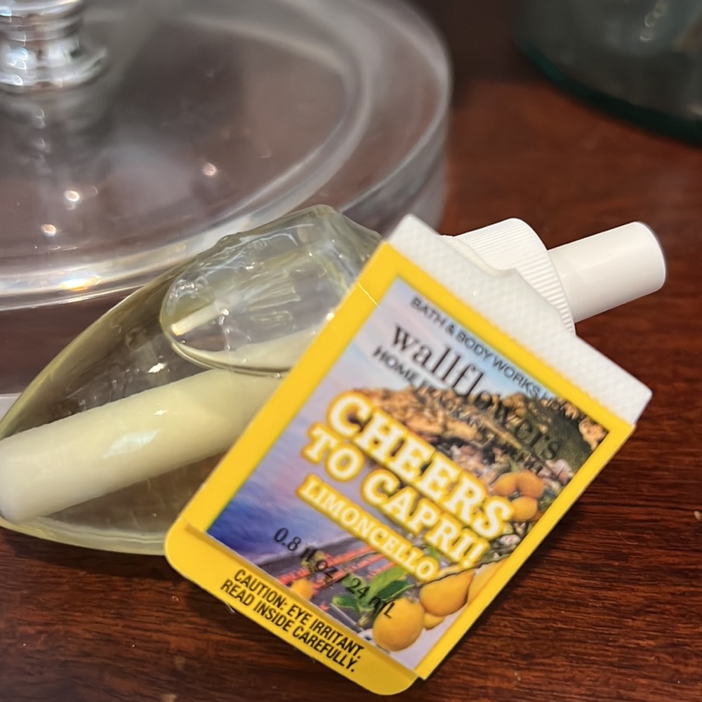 COPY - Discontinued Bath and Body Works Cheers to Capri Wallflowers